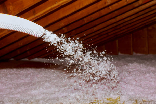 Best Attic Insulation Installation  in Palo Alto, CA